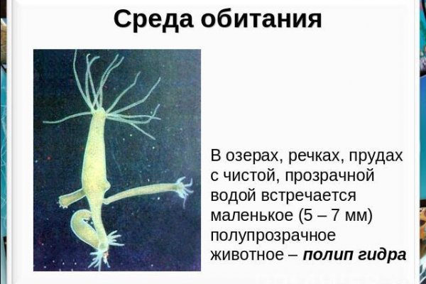 Зайти кракен через тор