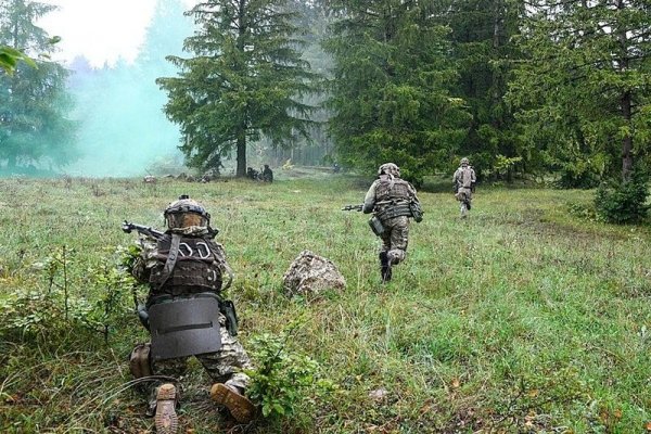 Через какой браузер зайти на кракен