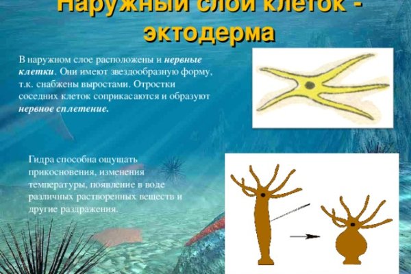 Кракен сайт маркетплейс