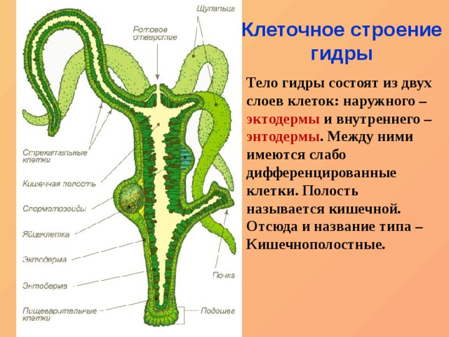 Как зайти на kraken в 2024