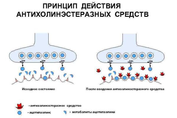 Магазин кракен даркнететамбов