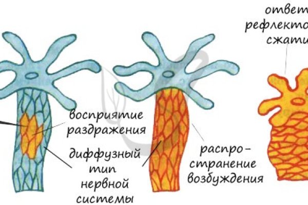 Не заходит на кракен